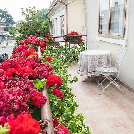 B&B Pereuka Rovigo Buitenkant foto